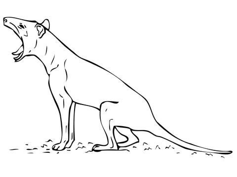 Tasmanian Tiger Wihtout Stripes Coloring Page